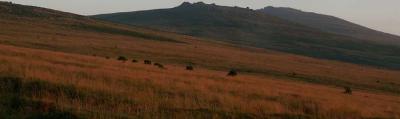 Late Summer Evening Sunset Light