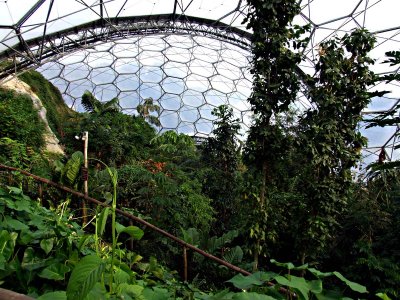 The Eden Project 4