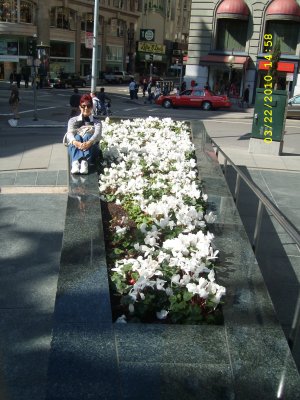 Flores de diversos tipos na Union Square