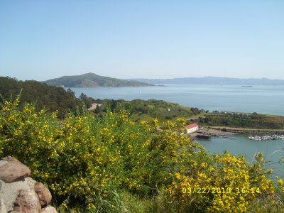 Golden Gate Park