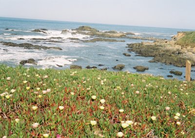 Caminho a Monterey2.jpg