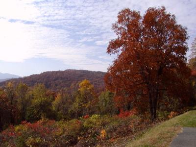 P1010055a.jpg