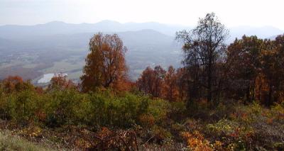 P1010059a.jpg