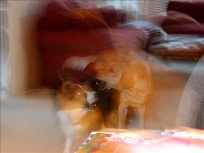 IMG_8477_filtereda.jpg