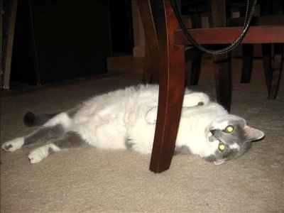 IMG_8496_filtereda.jpg