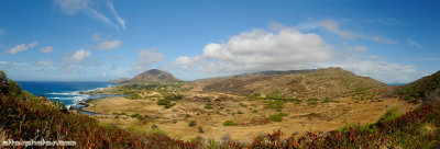 Kokohead Crater from Makapu'u Point