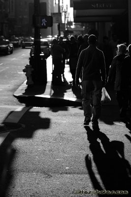 080322 Testing the Voigtlander Nokton 58mm f/1.4