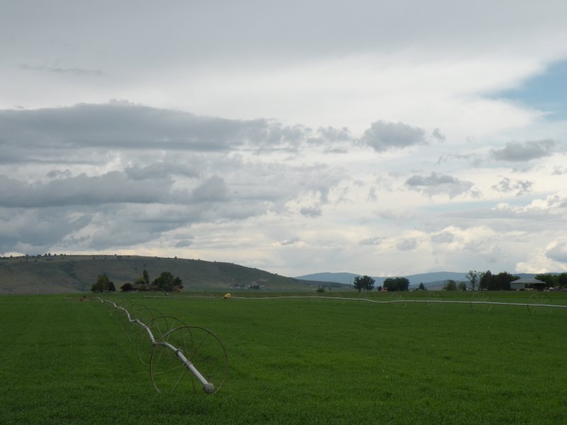 Wheel Line Irrigation