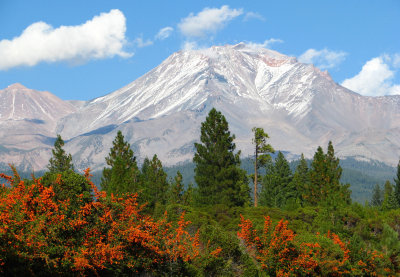 I saw this view while getting off the highway to go into South Mt. Shasta.