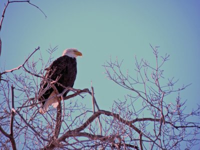 Standing Watch