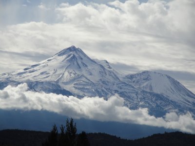 g3/55/153955/3/120704256.Mj6lQl4W.jpg