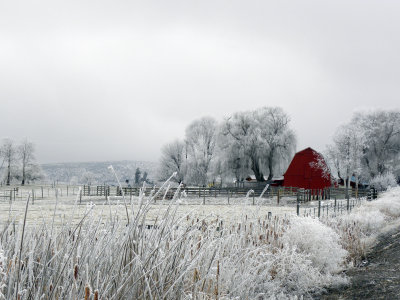 Red Barn in a Frozen World
