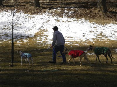 8. Walking the Girls...