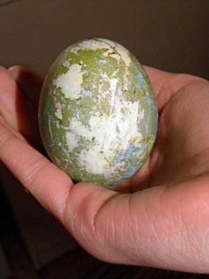 10. A CAMOUFLAGE EGG