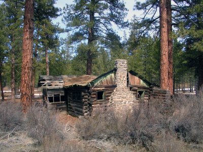 Abandoned log cabin