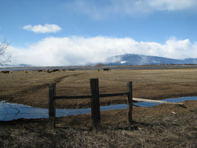 The vast ranchlands