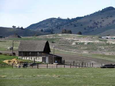Idlylic Ranch