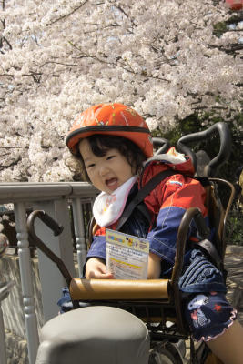 g3/55/192355/3/56082623.hana_273.jpg