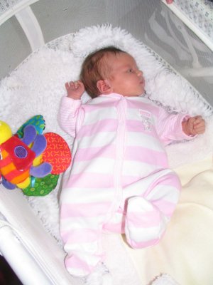 IMG_8440.jpg