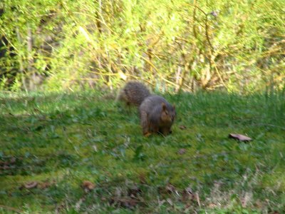 IMG_8427.jpg