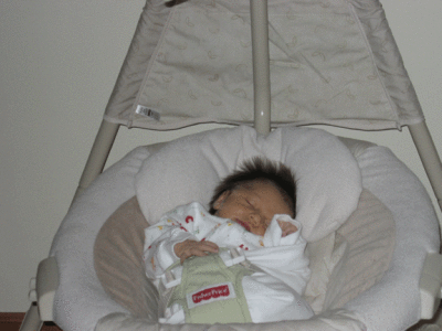 IMG_2973.gif