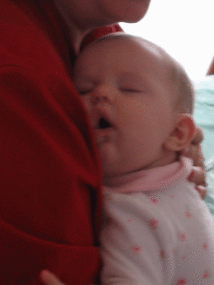 IMG_2978.gif