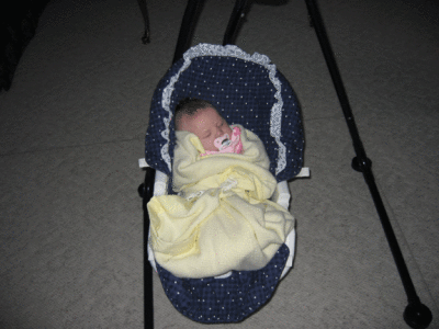 IMG_2983.gif