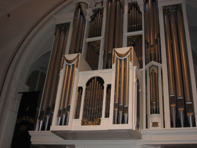 IMG_2984.gif
