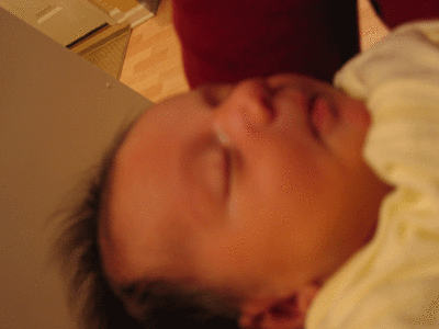 IMG_3010.gif