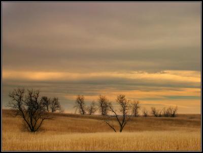 Prairie Dawn (3-06)
