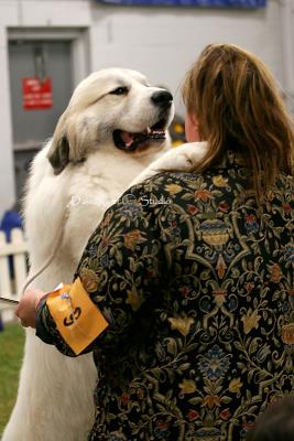 6-Hug me mom!.jpg