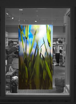 04_Apr_Spring-at-the-window_Mall of America_Minneapolis.jpg
