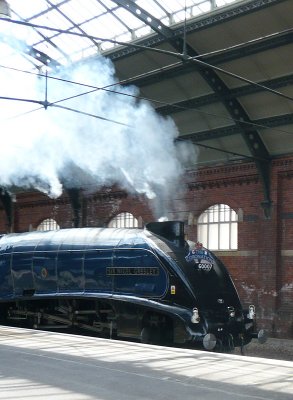 Sir Nigel Gresley Steam Locomotive Passing Through Darlington Station