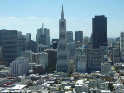 Transamerica Pyramid from Coit Tower