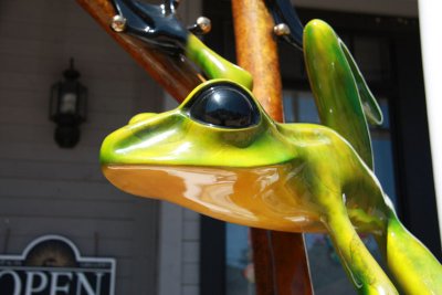 Bronze Frog, Cambria