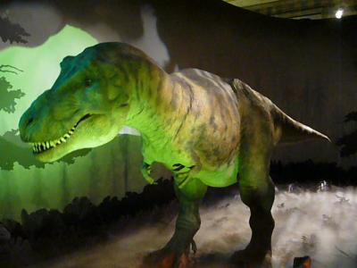 T Rex, Natural History Museum