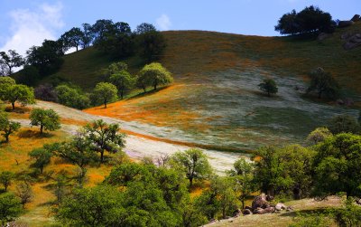 California Hills