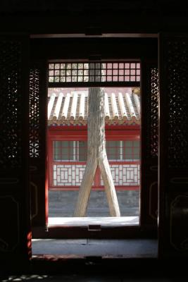 Forbidden City - Gardens