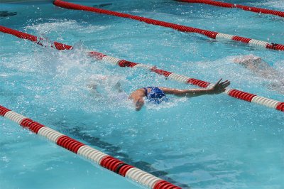 IMG_0468.jpg