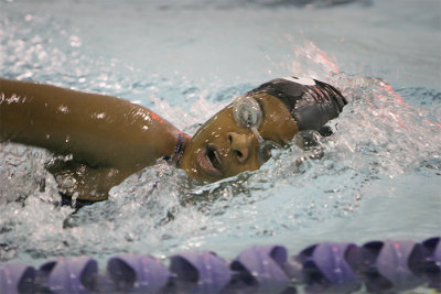 NCS and STA Middle School Swim Teams -- November 26, 2007