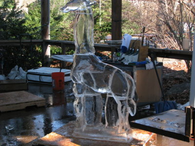 IMG_4302_1.JPG