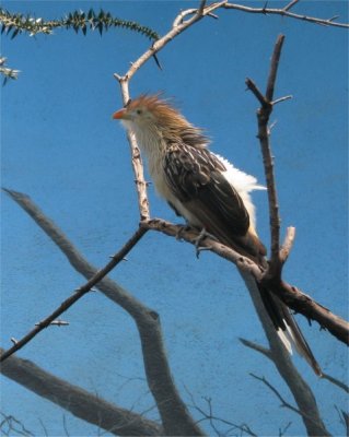 IMG_4461.JPG