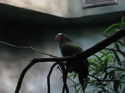 Img_4463.jpg