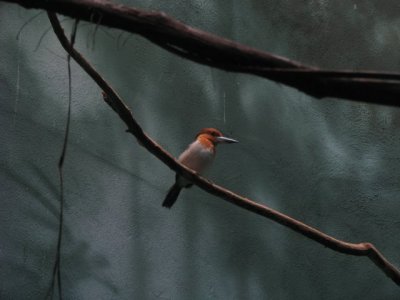 Img_4464.jpg