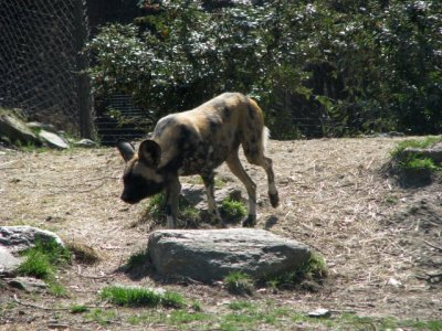 IMG_4416.jpg