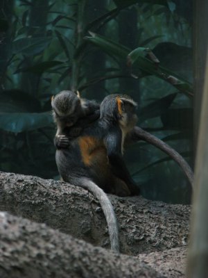 Img_4408.jpg