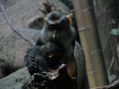 Img_4402.jpg