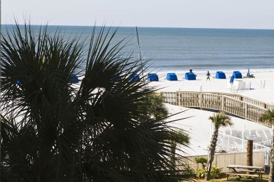 Gulf Shores