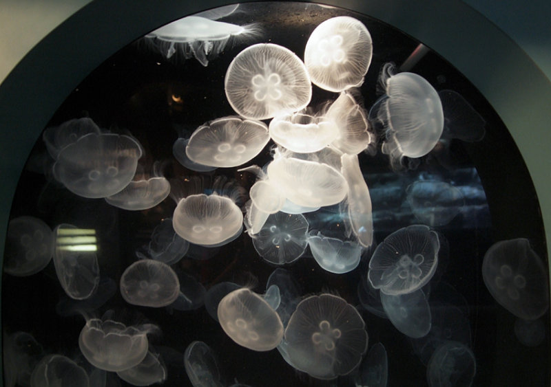DSCF1904_1.jpg