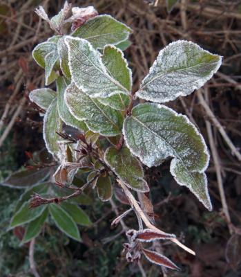 DSCF0513_1.jpg